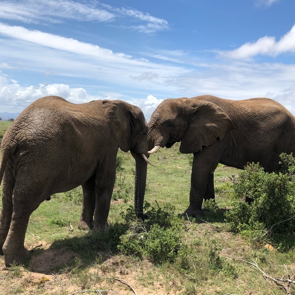 Closing Closet Sale!! Offers and Bundles Welcome! Please share! - Picture 2 of 3